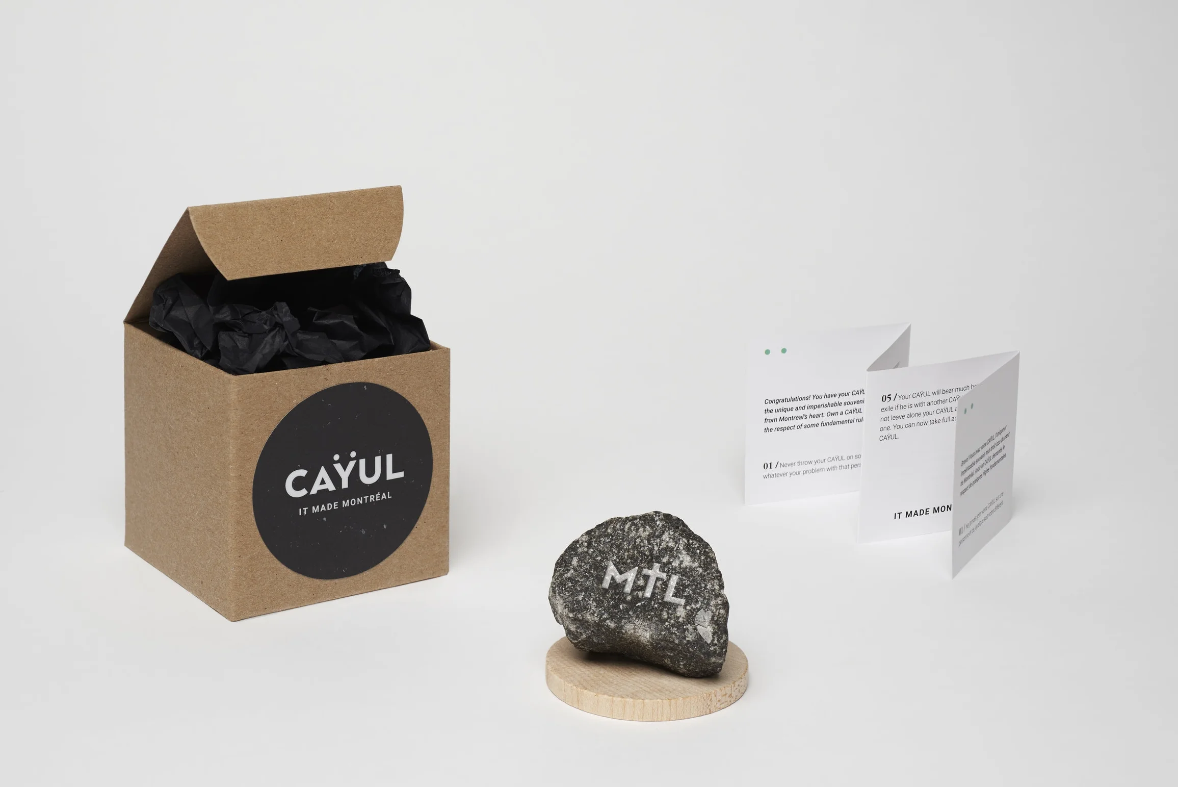 Cayul_FB_Souvenir_MTL_01.jpg