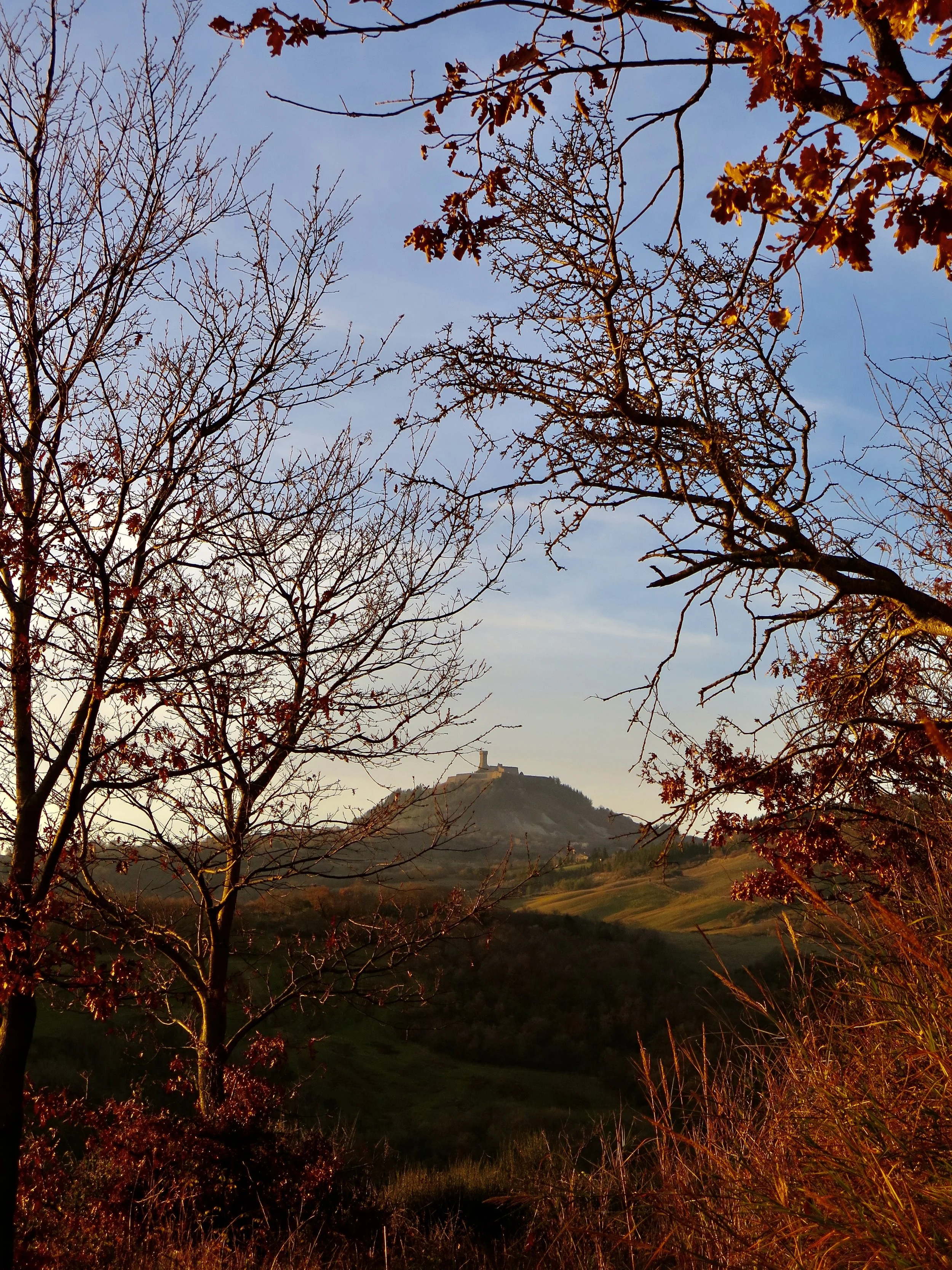 A Tuscan Anti-Christmas