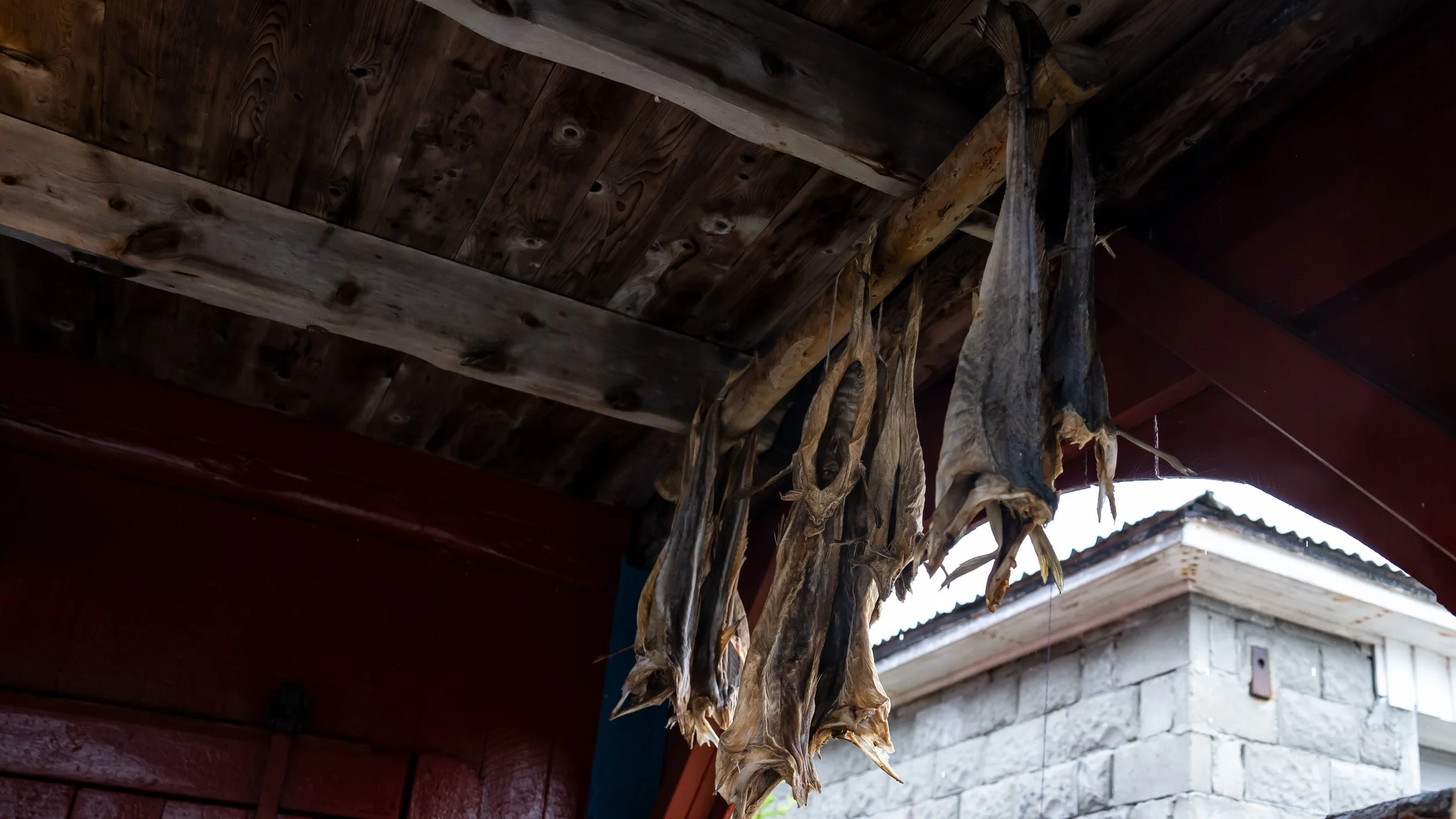 The Legacy of Lofoten's Stockfish