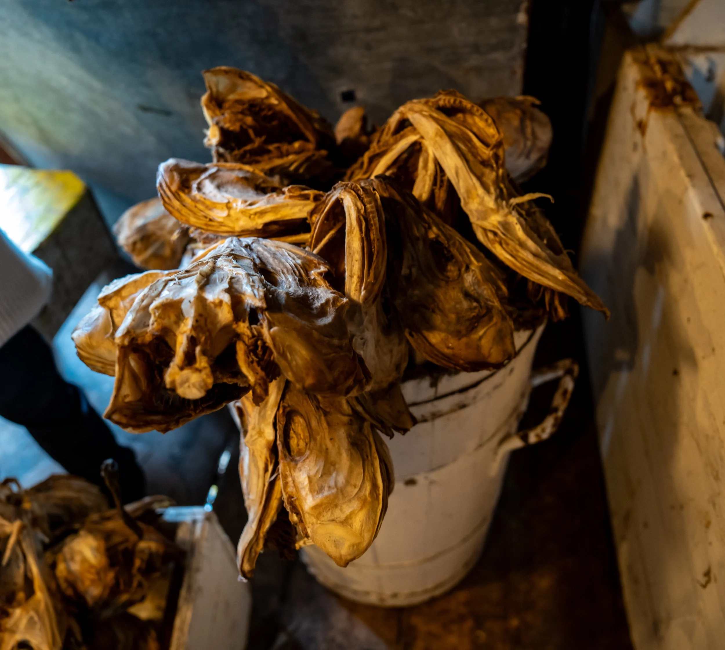 Bucket of Tradition