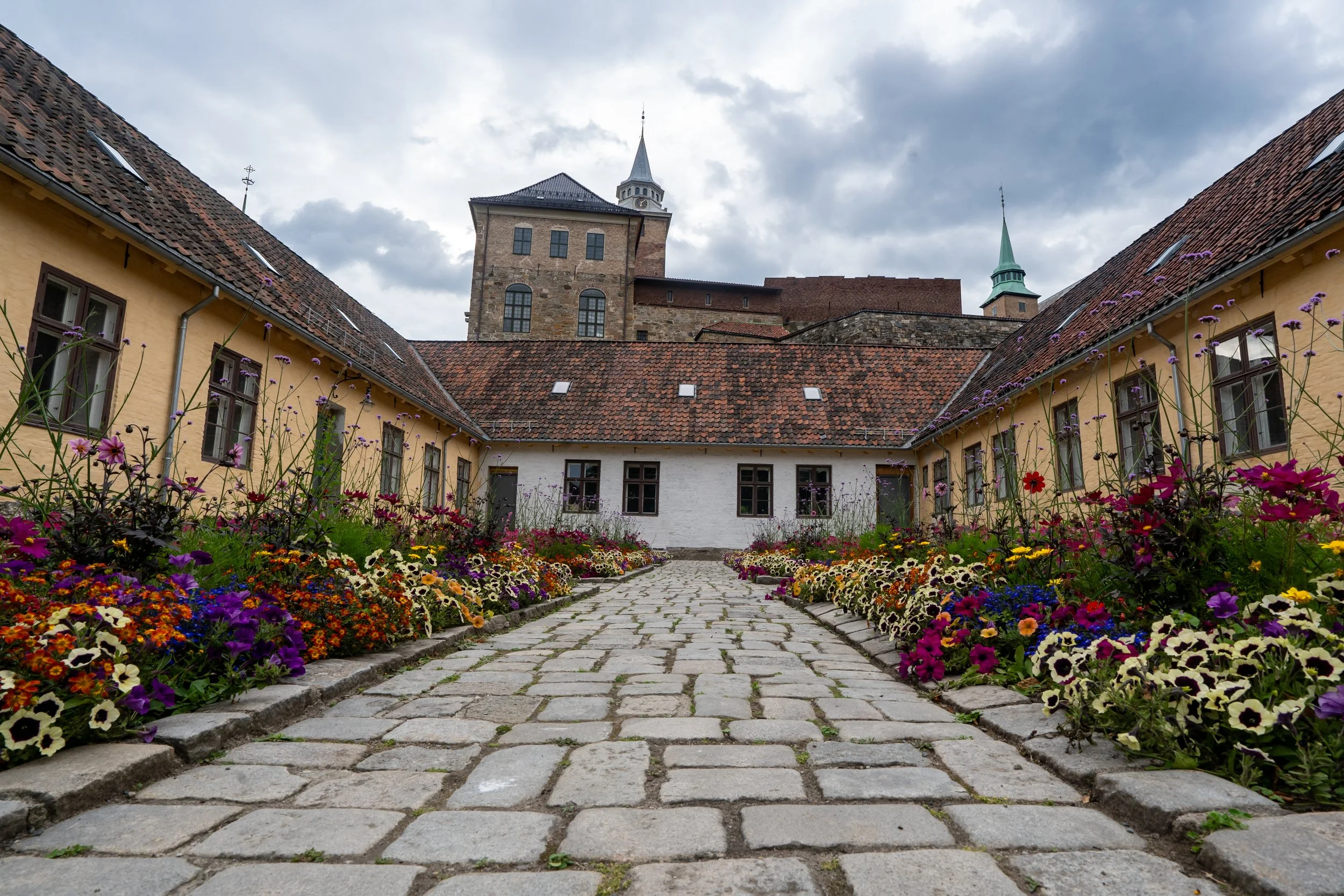 A Flower’s Whisper at Akershus Fortress
