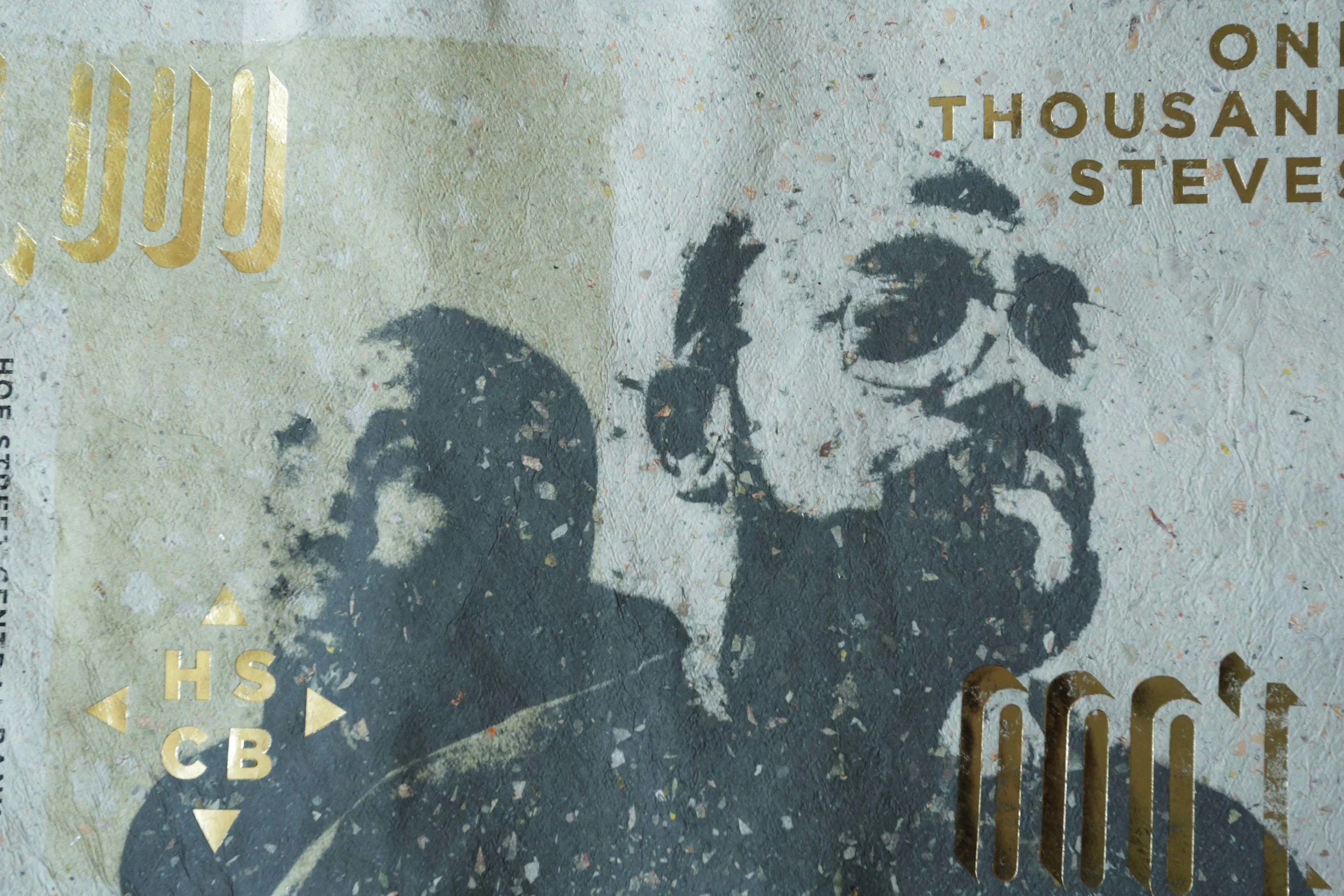 steve1000-detail1.jpg