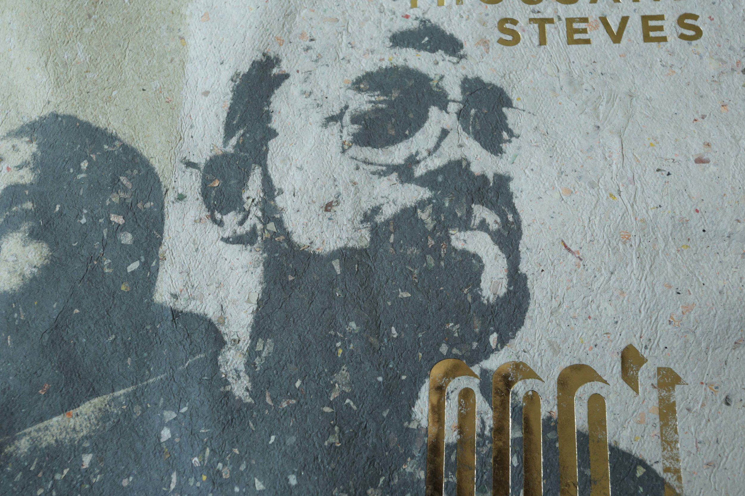 steve1000-detail.jpg