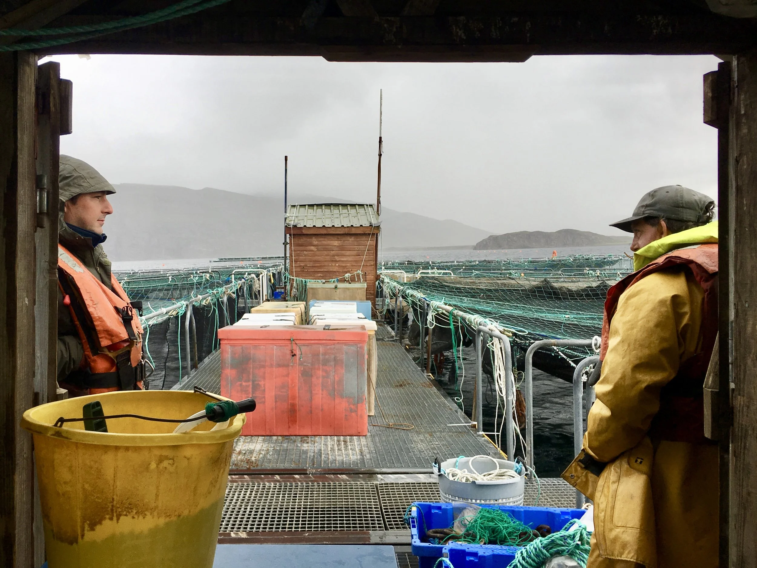 NPR | The Cost of Scotland's $2 Billion Salmon Industry 