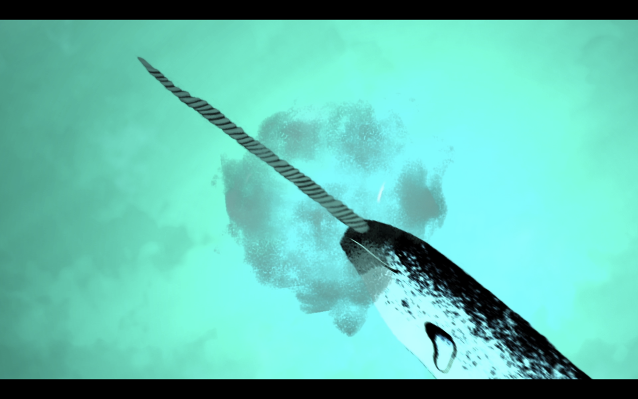 How The Narwhal Got Its Tusk - An Animated Inuit Legend