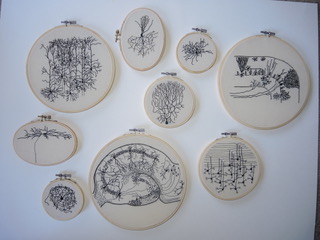A collection of Hewitt's pieces, based off Ramón y Cajal drawings (top right, bottom center) and her own research. Photo by Sarah Davis