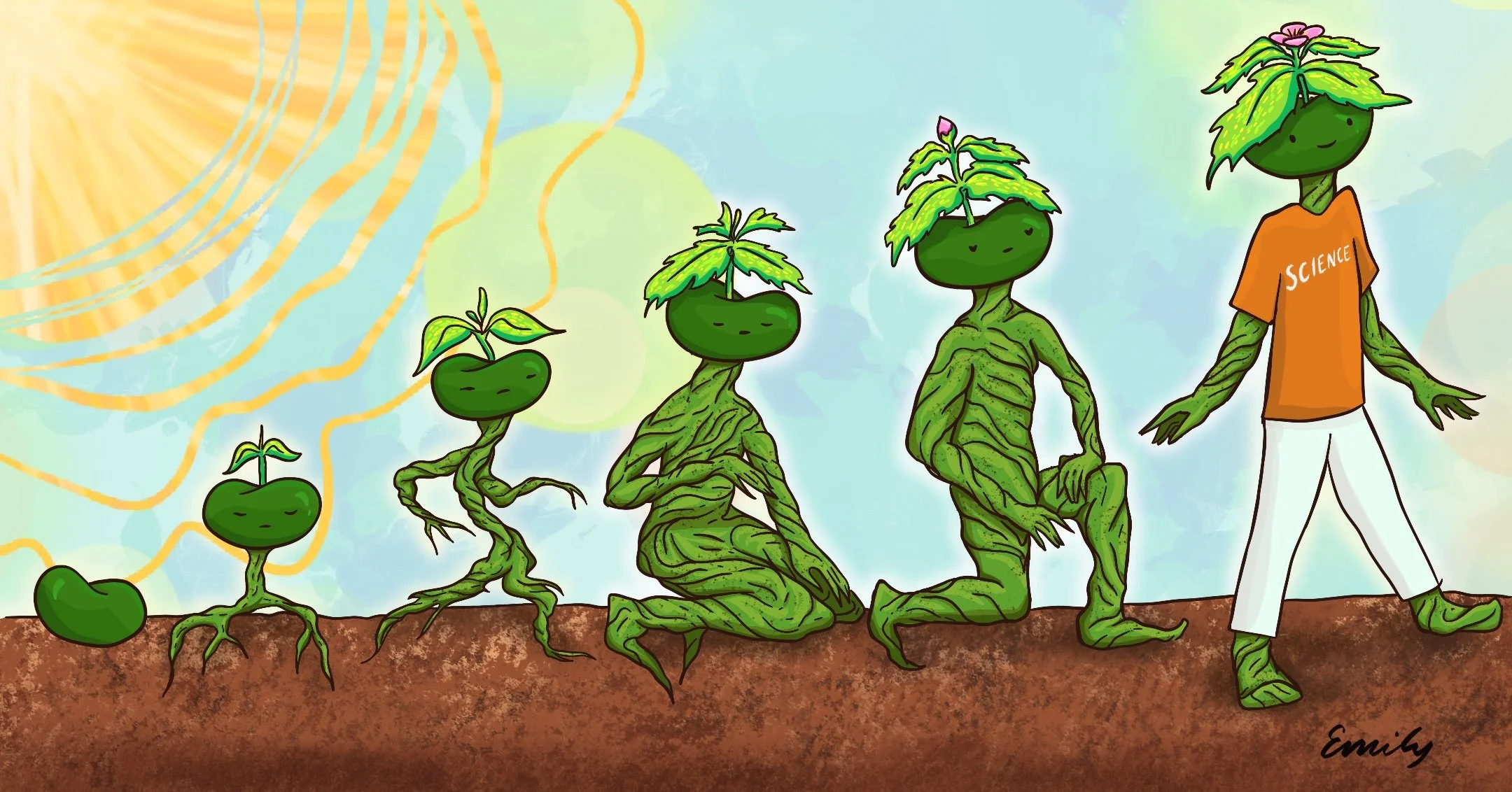 Evolution: Taught or Not?