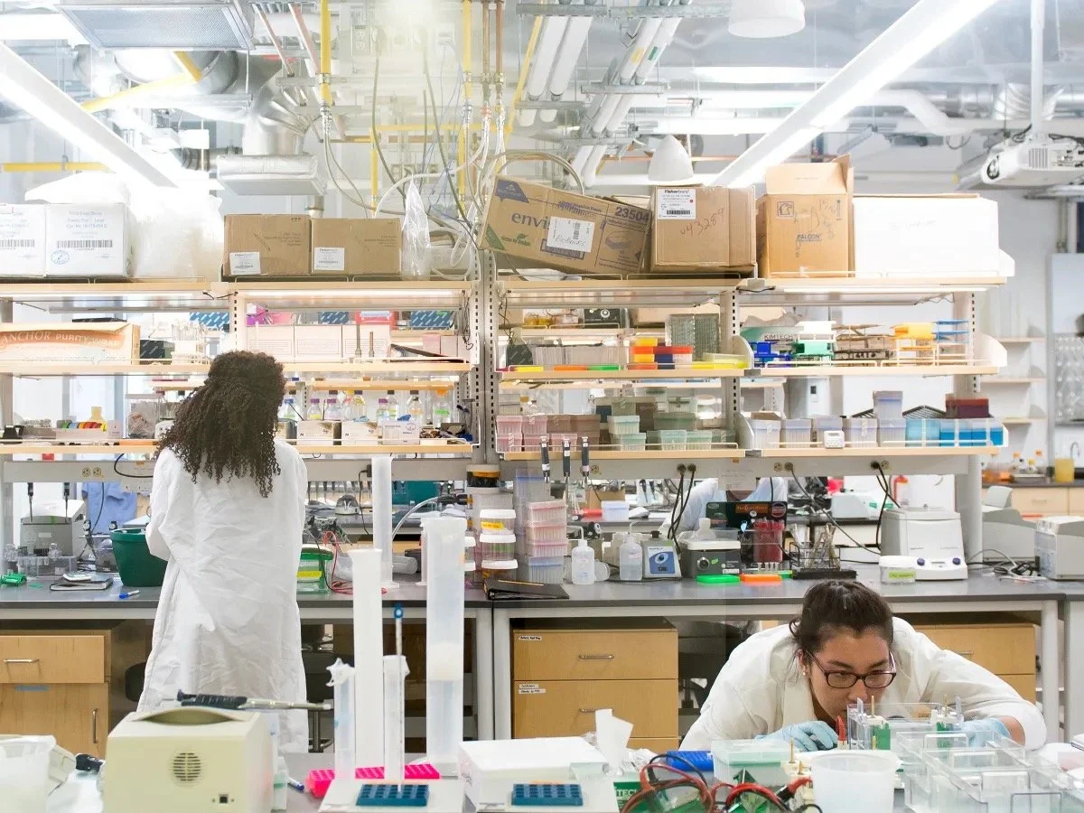 So You Wanna Be a Reseacher?