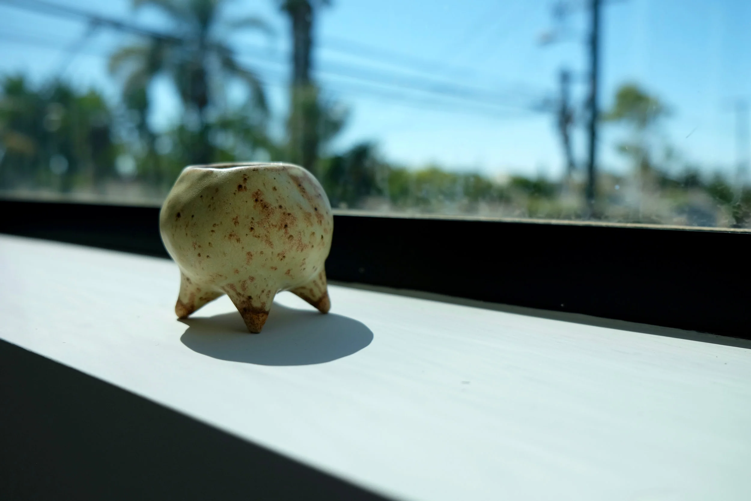 DSCF8580.jpg