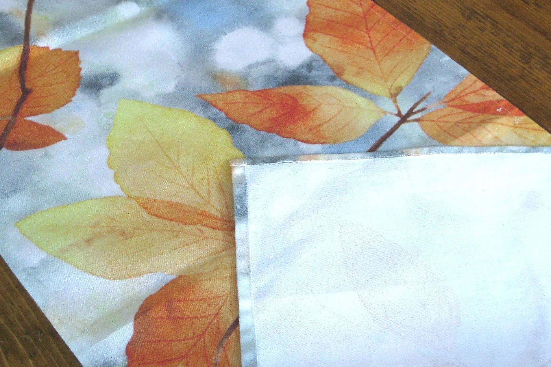 Blur with Leaves 04_IMG_0088.JPG