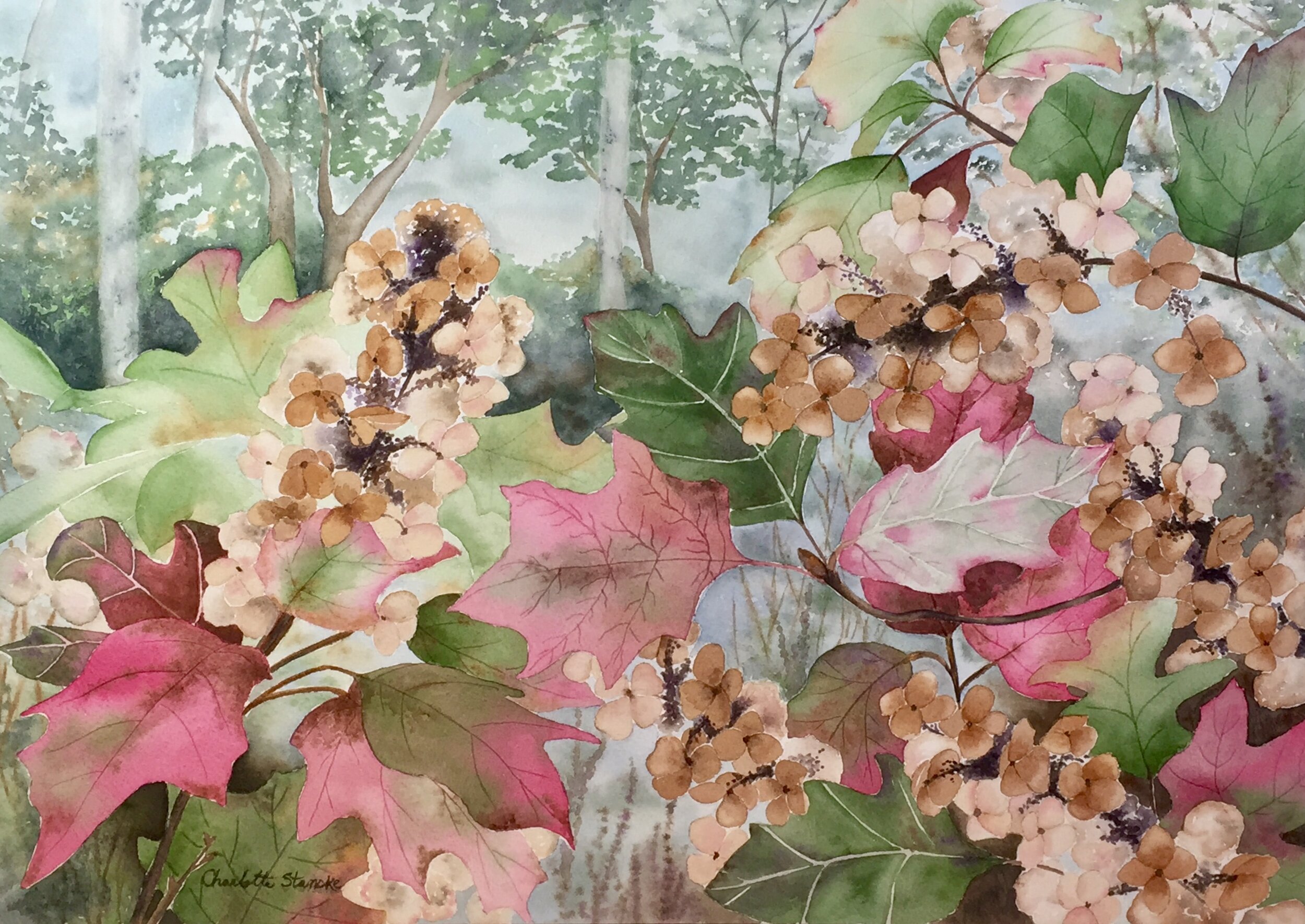 Autumn Hydrangea 1