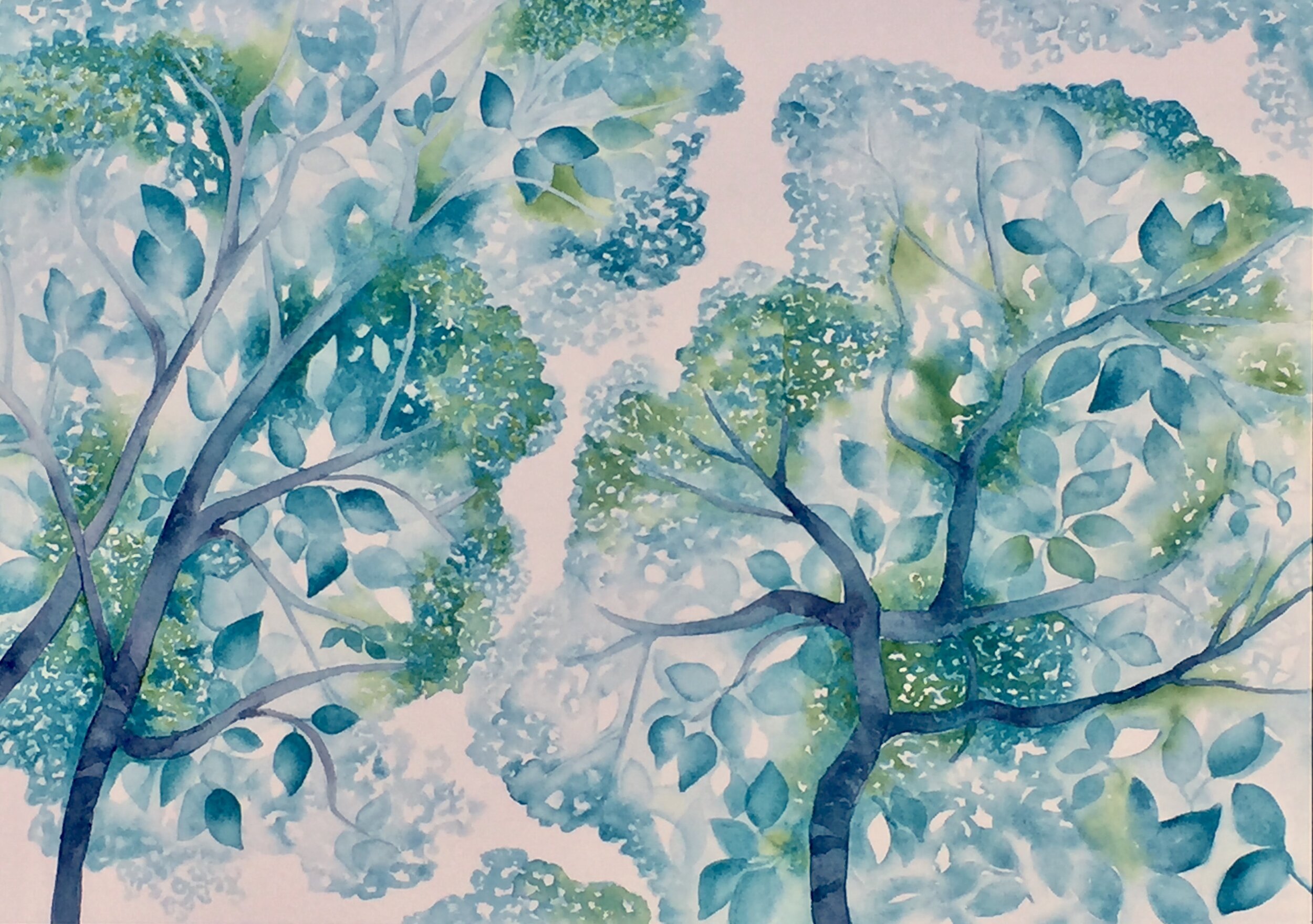 Tree Canopy of Turquoise