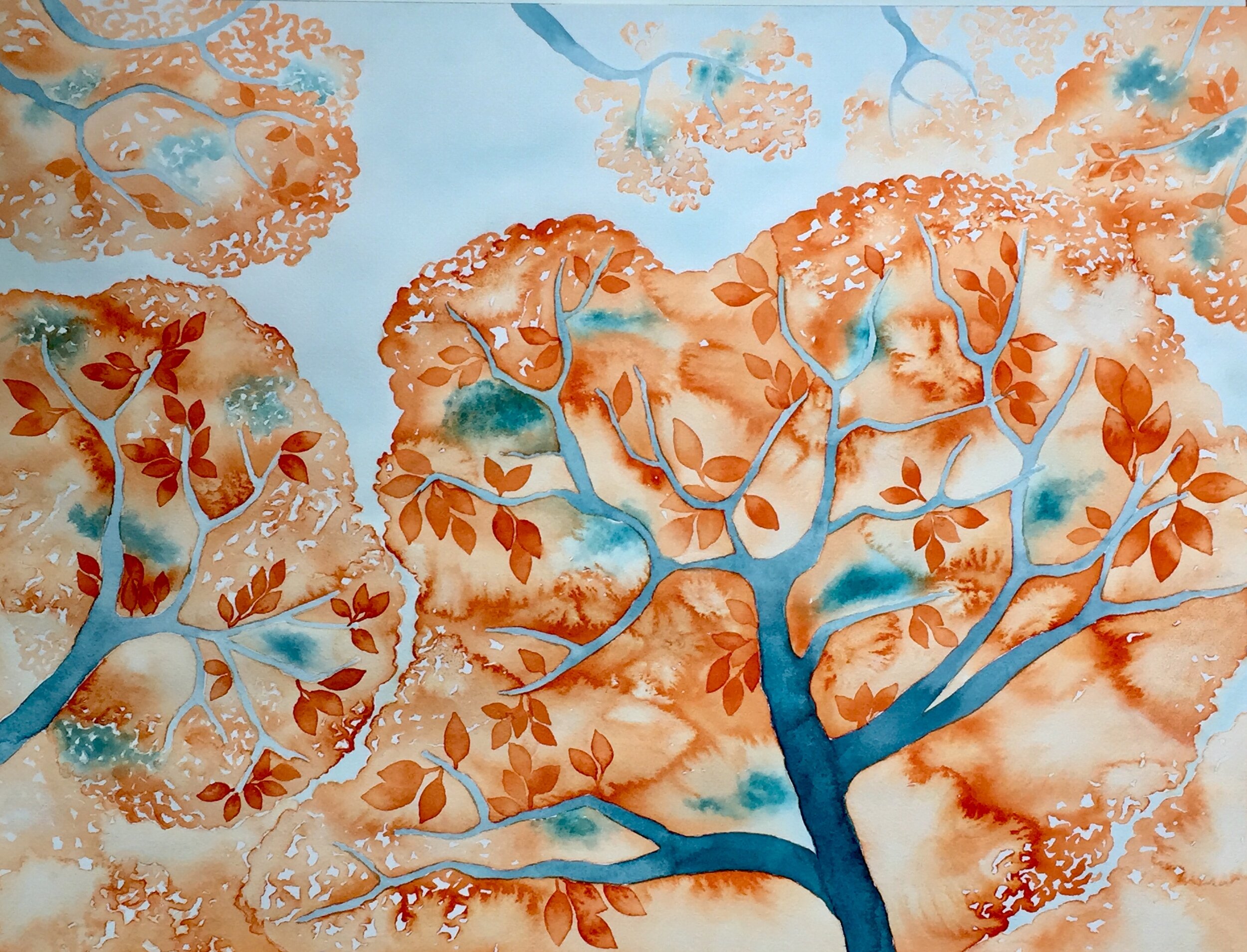 Tree Canopy of Orange