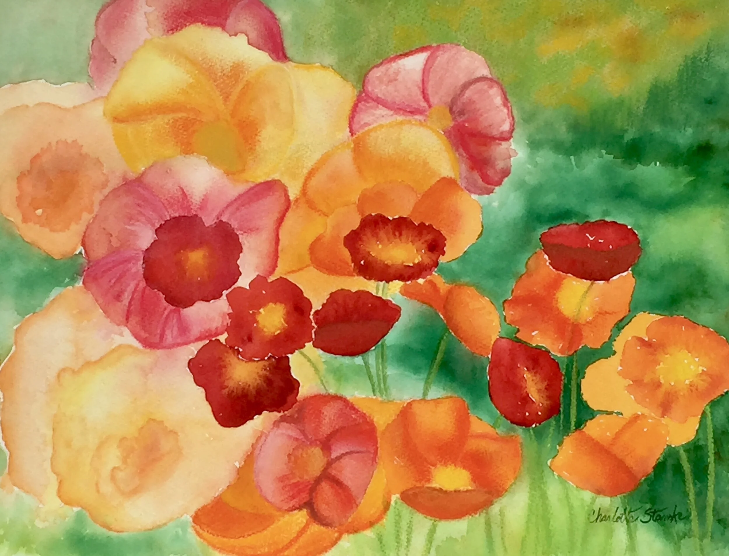 Poppy Field_Pastel Punch.jpeg