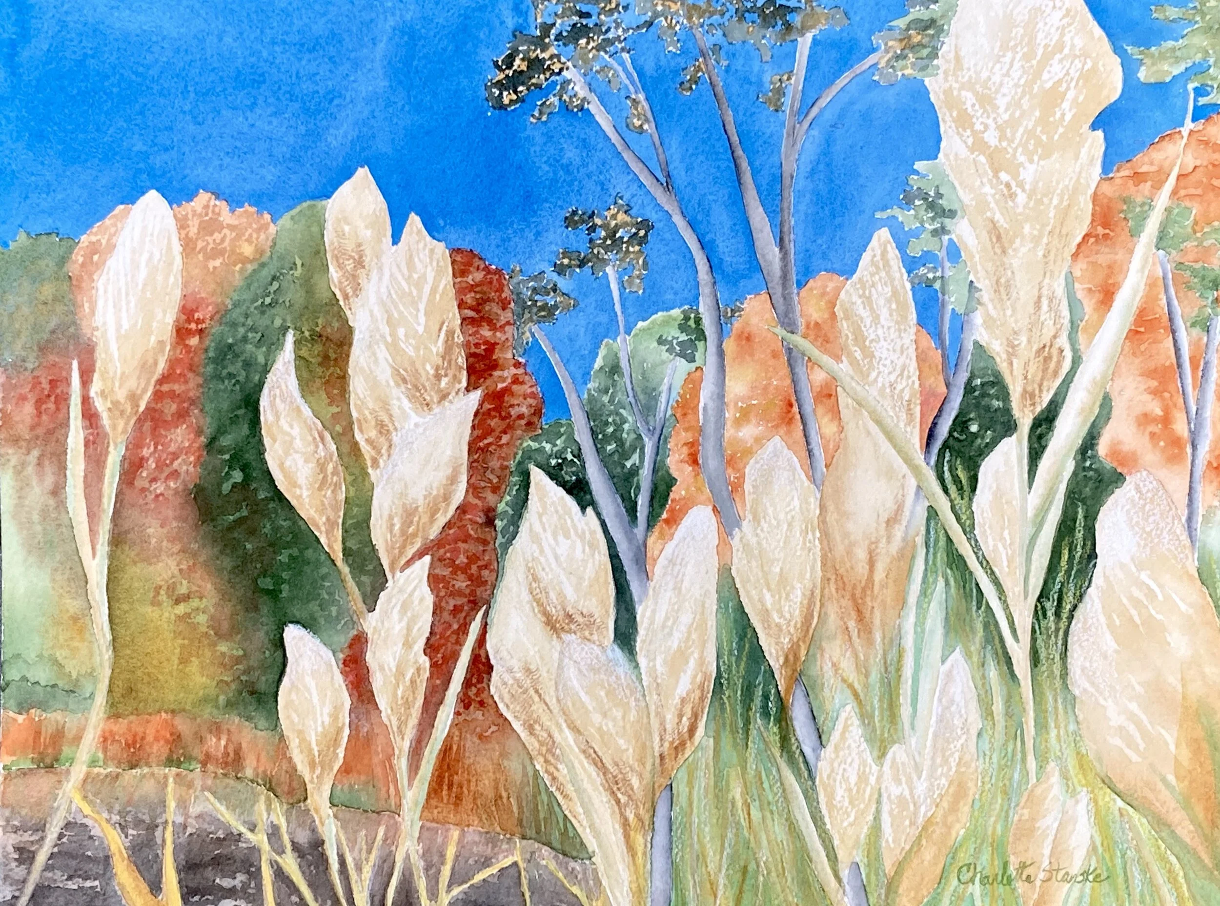 Fall at Olana 01.jpeg