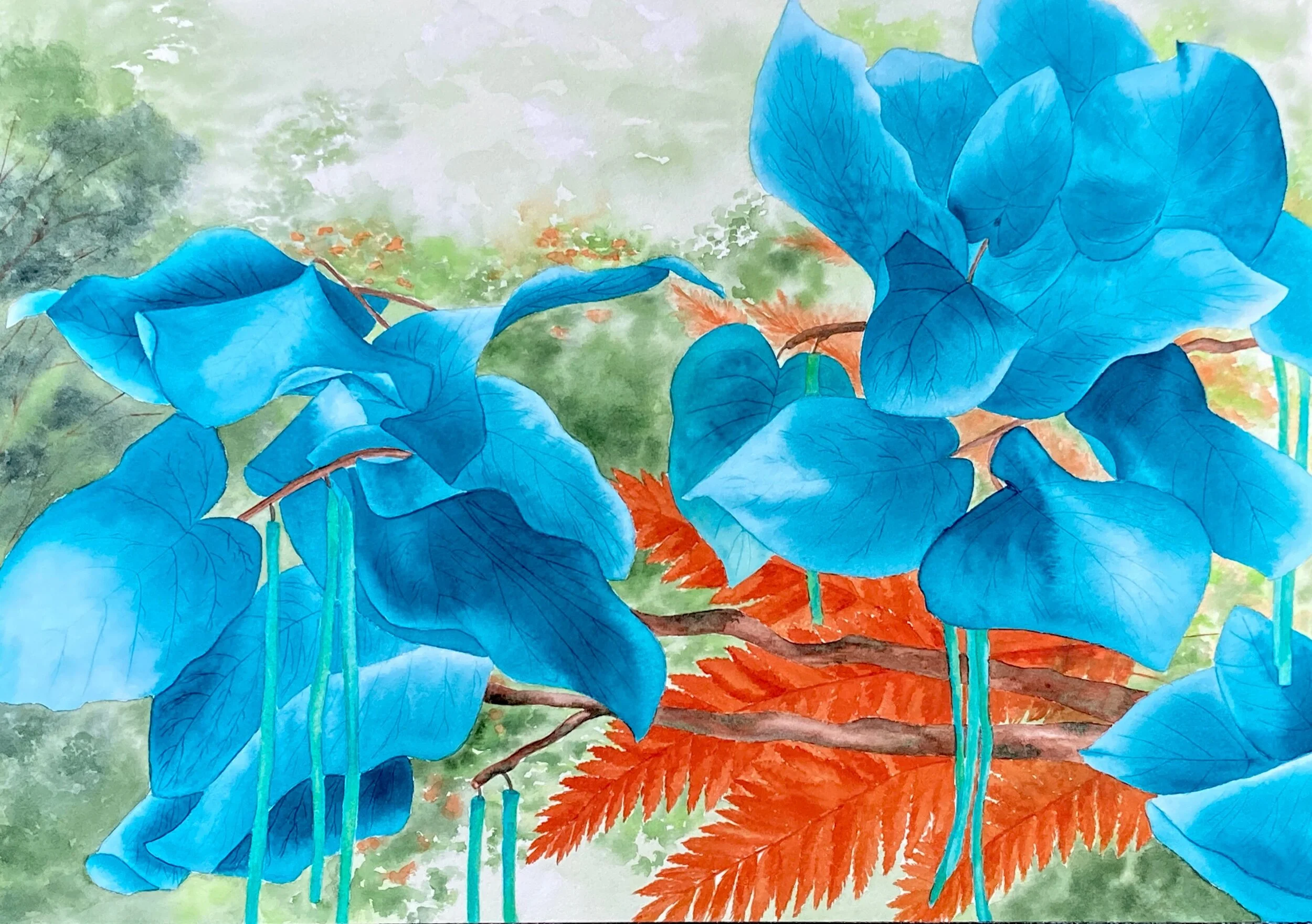 A5C91637-33E7-4AED-A3A1-CD5EDEBDAF85