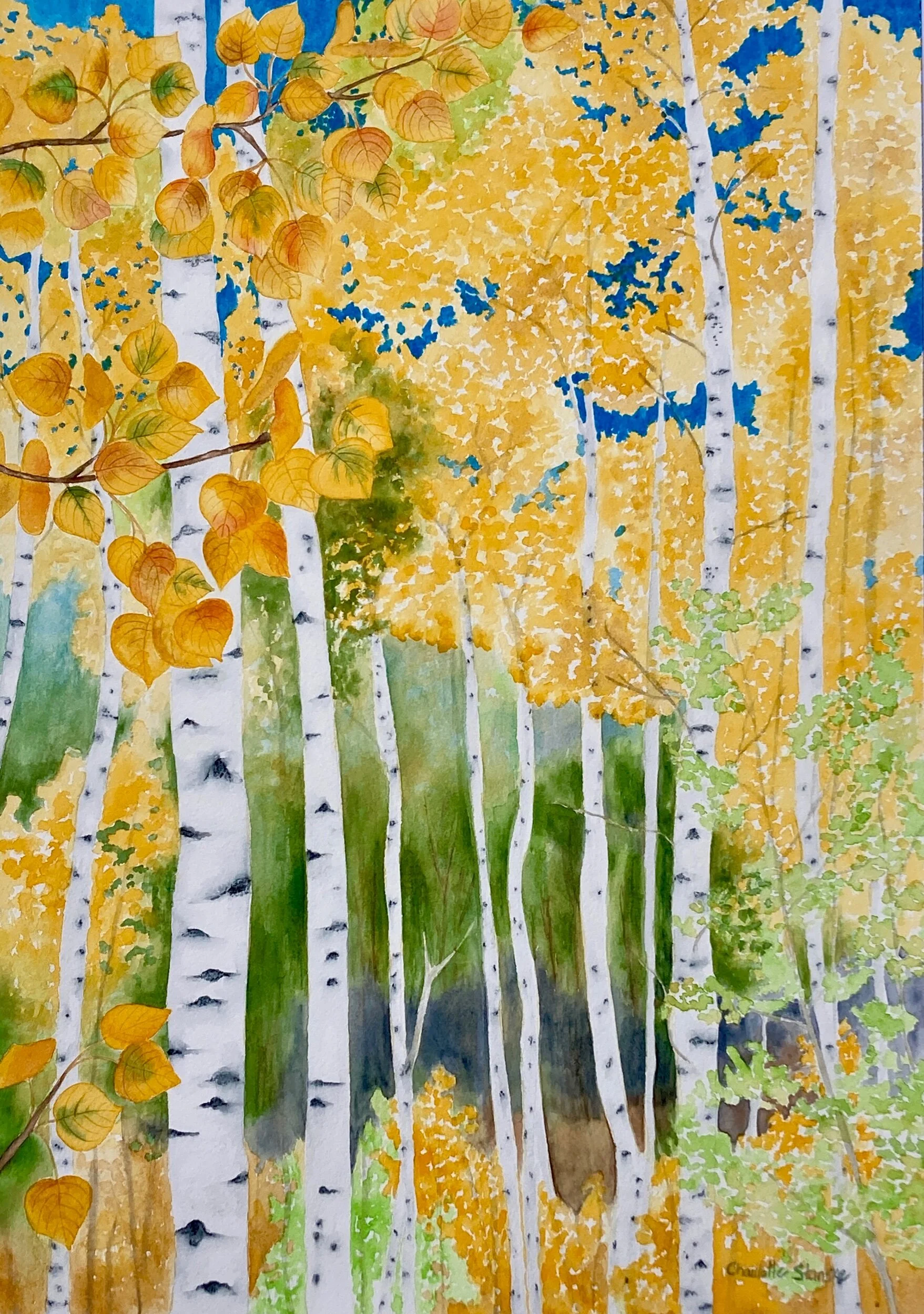 D8BD0356-05D8-4974-8EC8-AC60D4CE6655