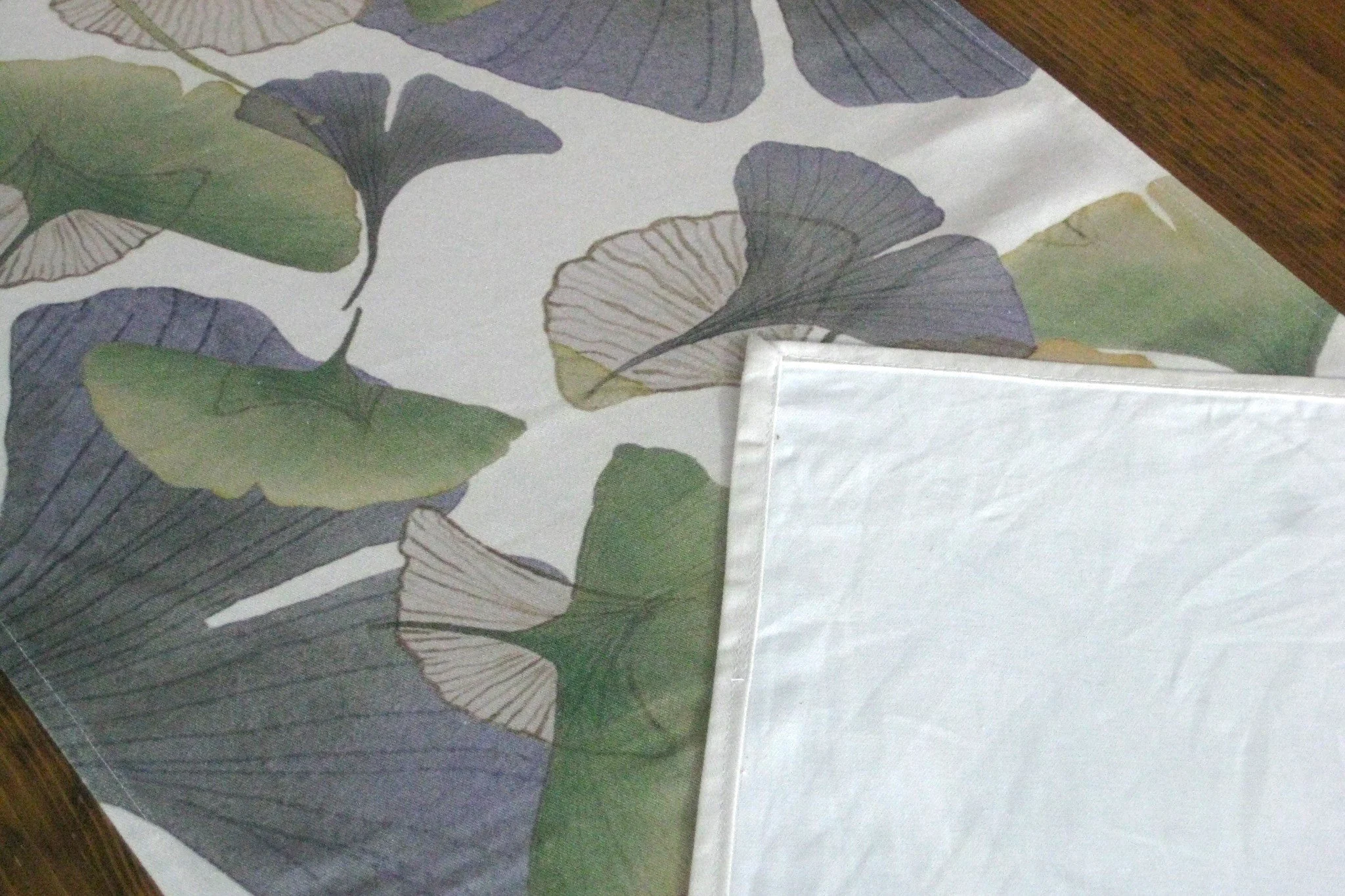 Ginkgos 04_IMG_0026.JPG