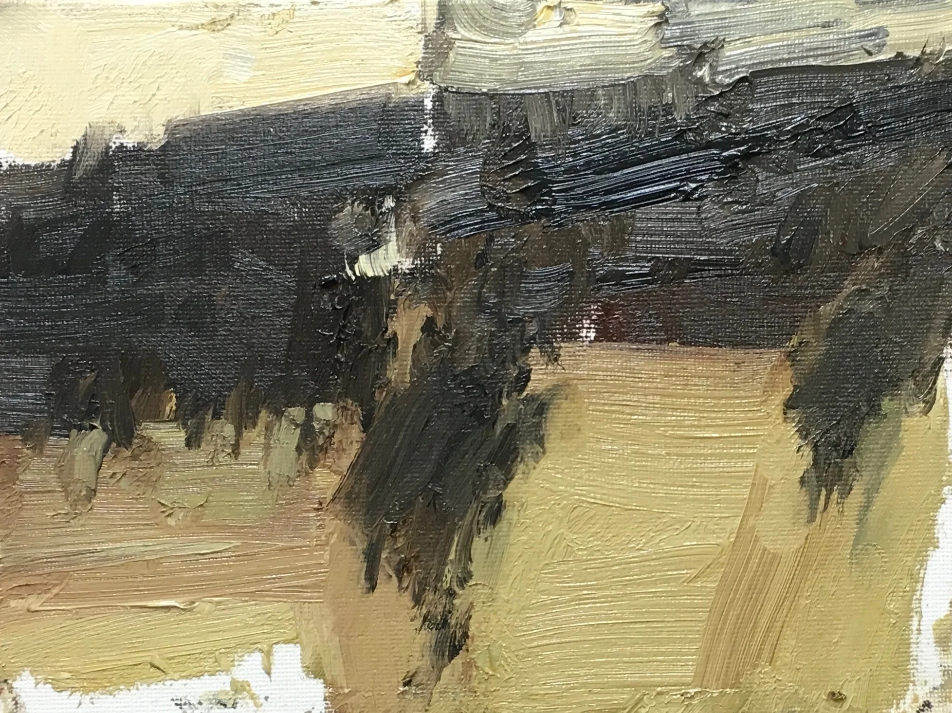 'Foothills V' (Available)