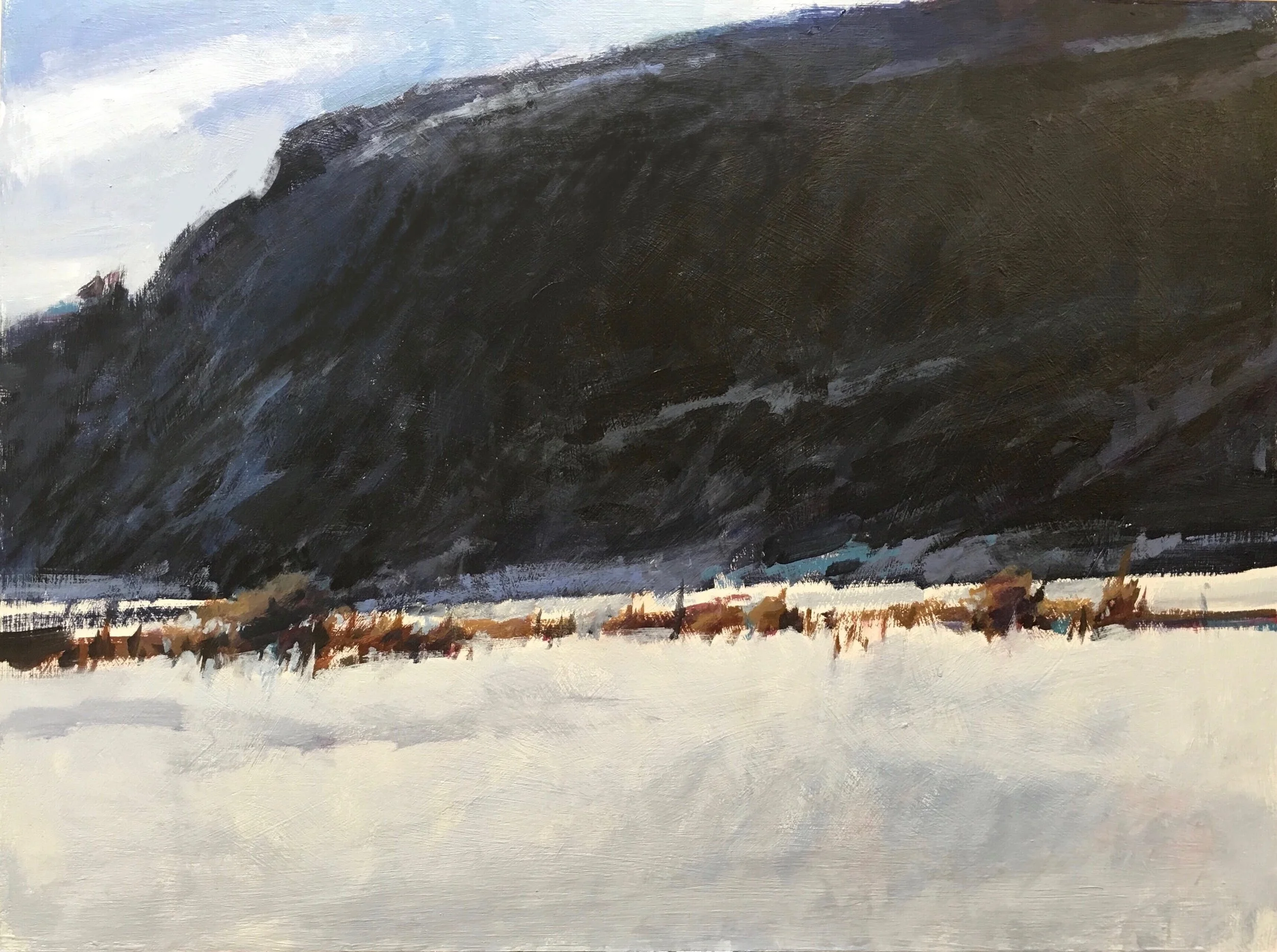 'Winter Afternoon-Algonquin'(Available)