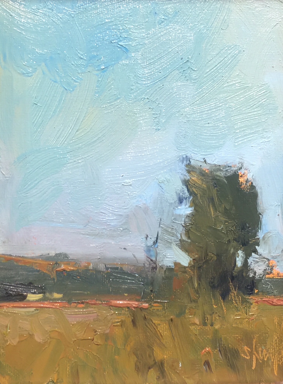 ‘Summer Field’ 8x6
