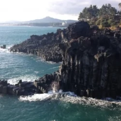 On the island of Jeju, South Korea, women have traditionally earned a living by free-diving into the ocean to gather abalone, sea cucumber, conches and other treasures from the ocean floor. Emily wrote about one of the youngest of these divers for Roads & Kingdoms , April 6, 2017; the article was listed on The Atlantic 's The Week in Global-Affairs Writing , April 9, 2017. 