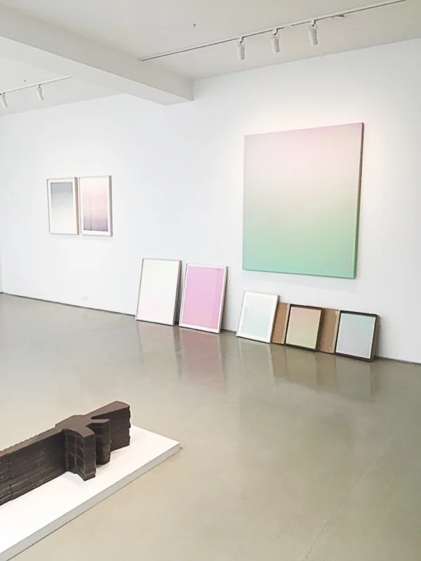 A viewing of Boo Savilles at Davidson Contemporary