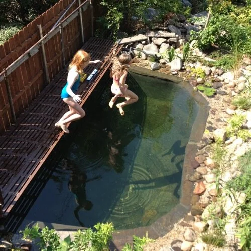 The green backyard and 5 ft pond at the Eco Brooklyn Showhouse