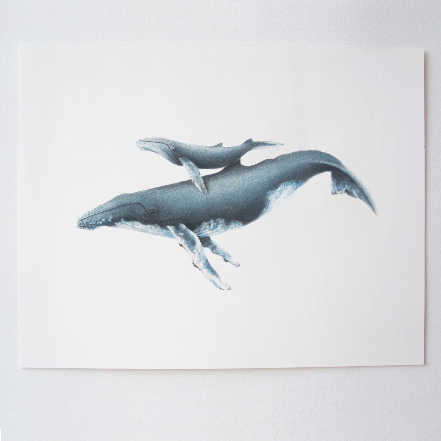 Humpback and Calf.jpg