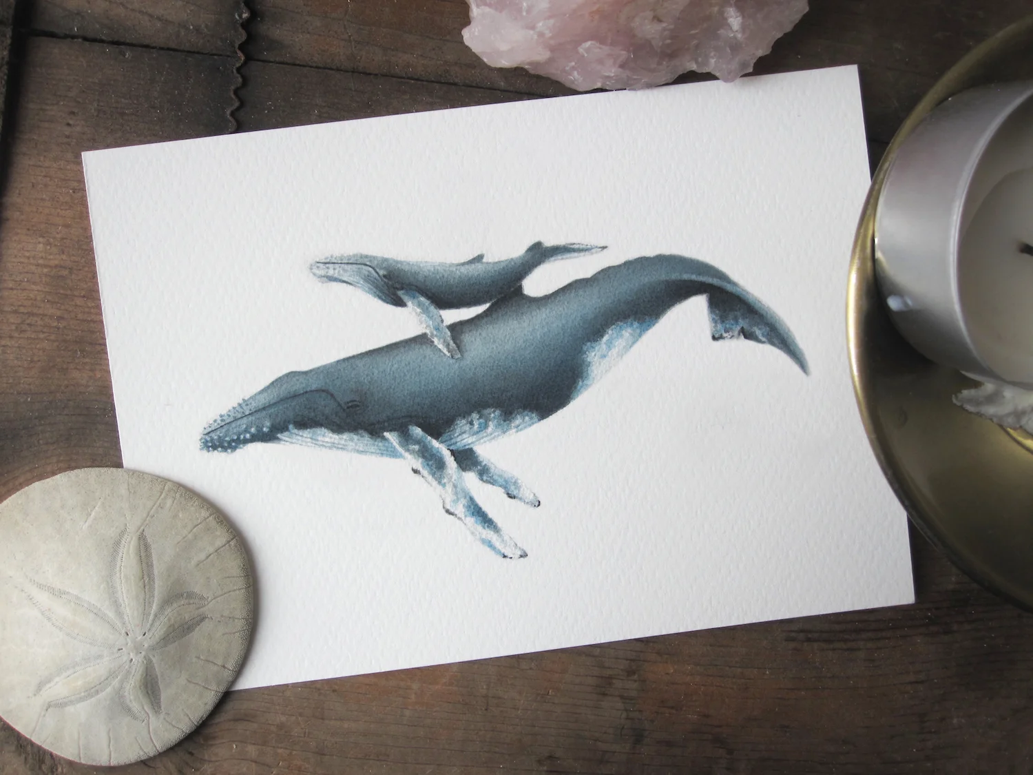 Humpback and Calf 3.jpg