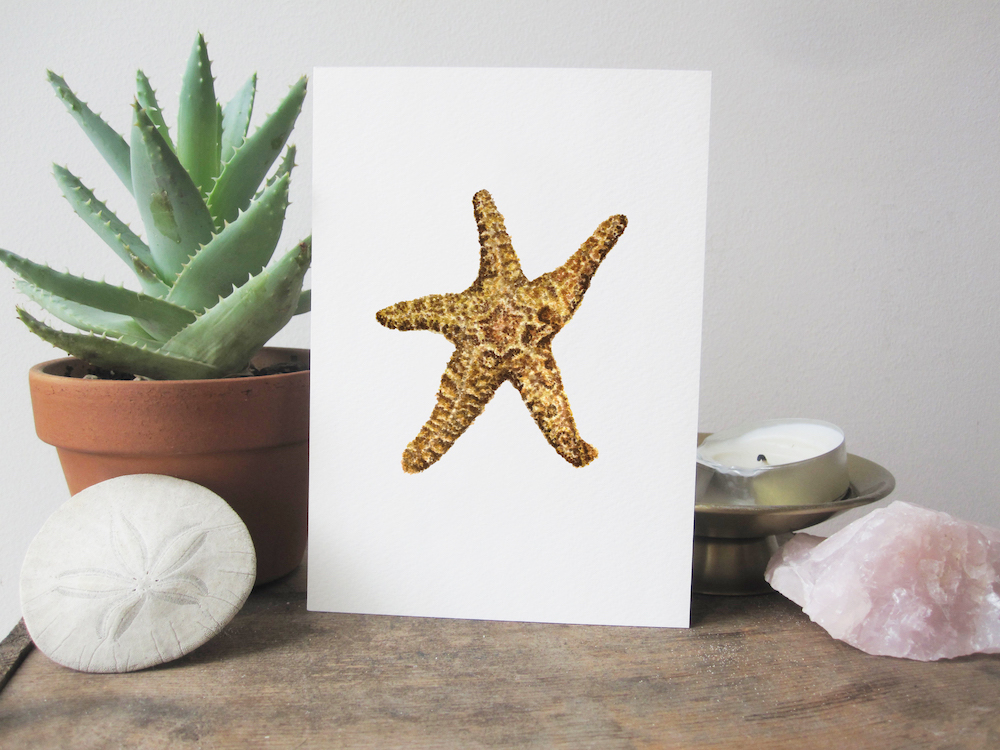Starfish Stand Up.jpg
