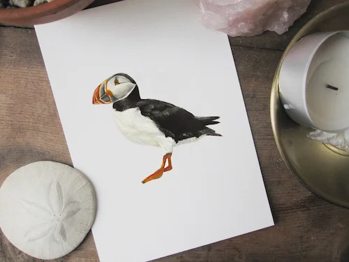 Puffin Flat.jpg