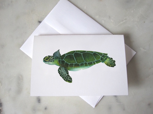 Turtle Notecard.jpg