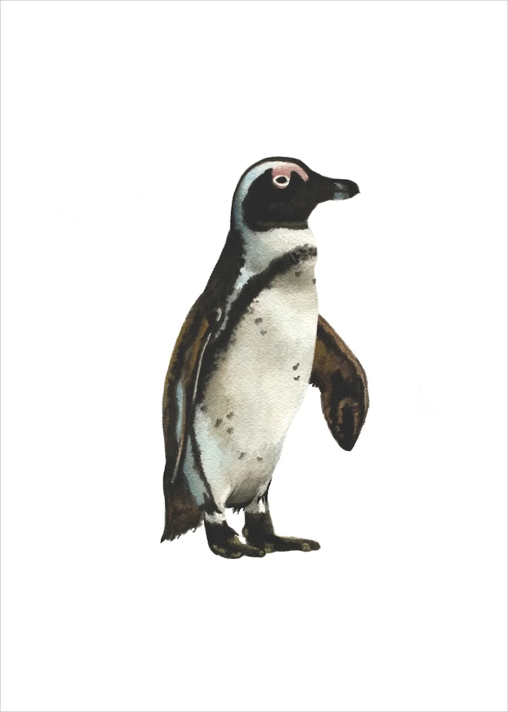 Penguin.jpg