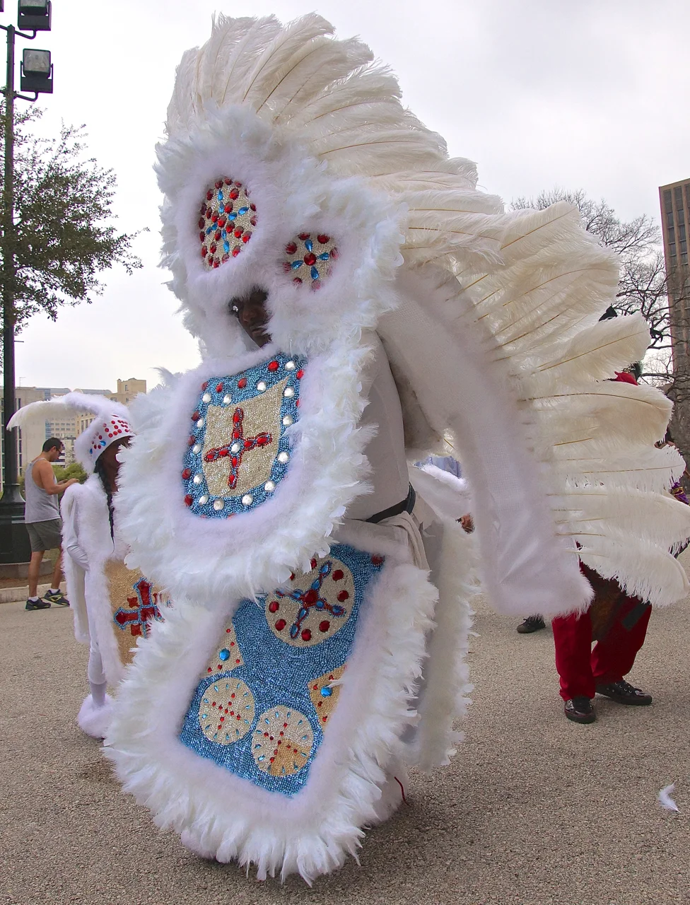 Mardi Gras Day Land of the Free March