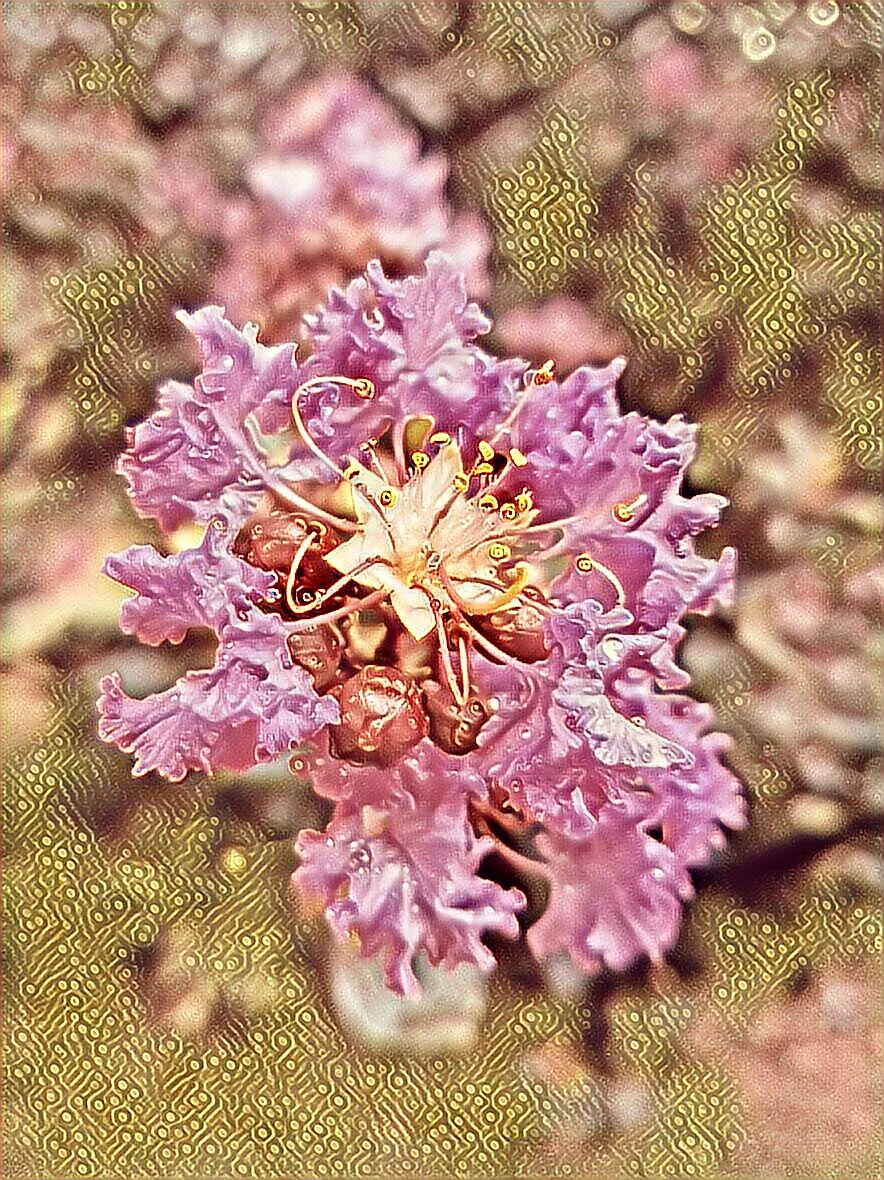 PicsArt_12-17-08.54.46.jpg