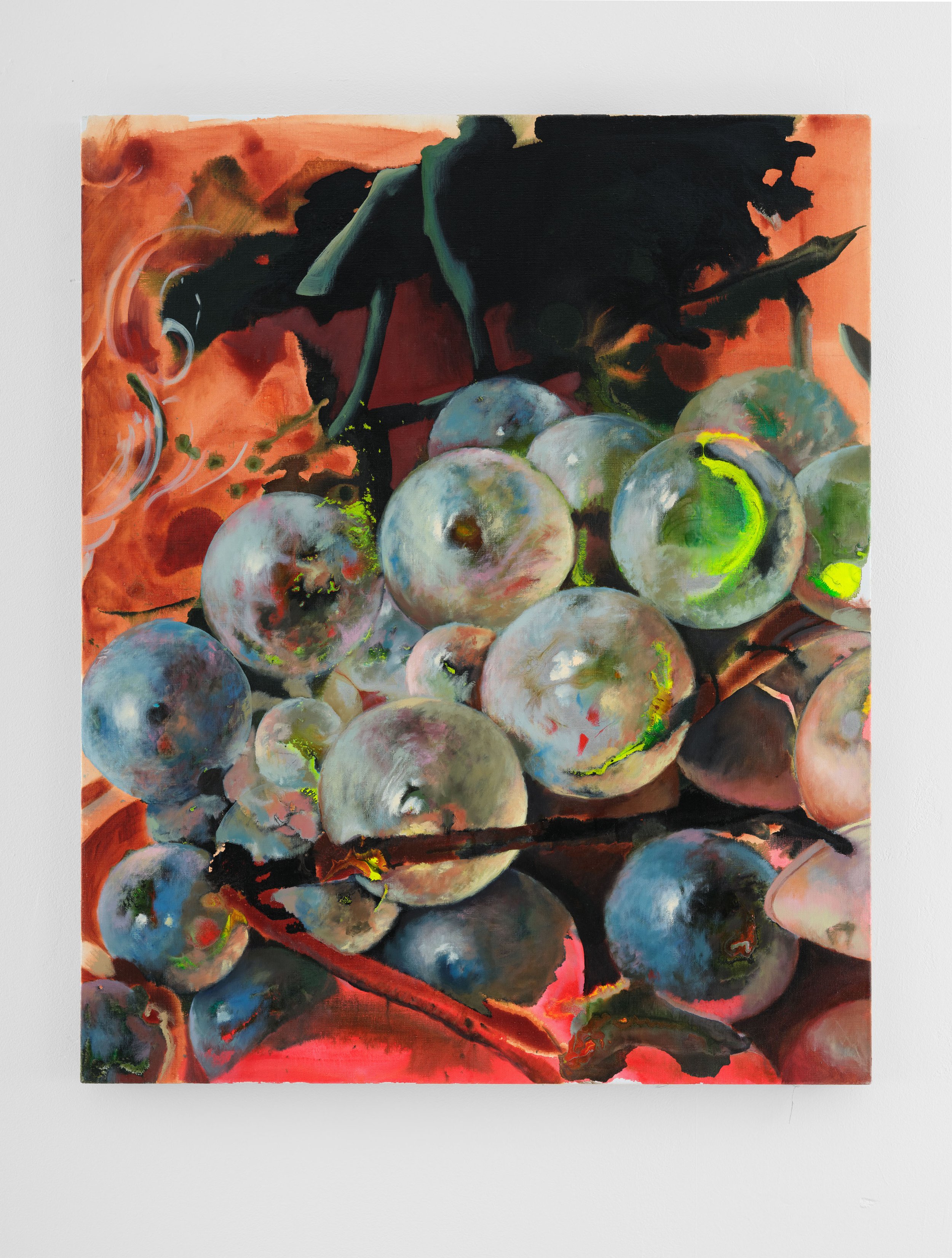 Martin Gustafsson 'The Aesthetics of Fruit in a Sky' 100x82cm 1716.jpg