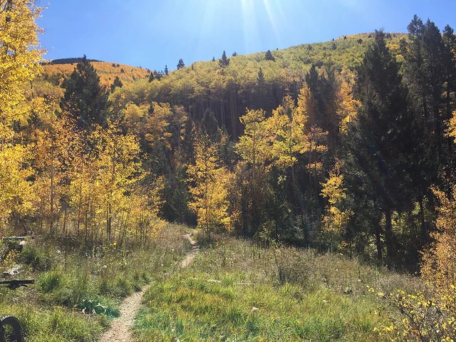 Big Tesuque Trail, Santa Fe-Photo by Eric Cook, Mountain Bike New Mexico