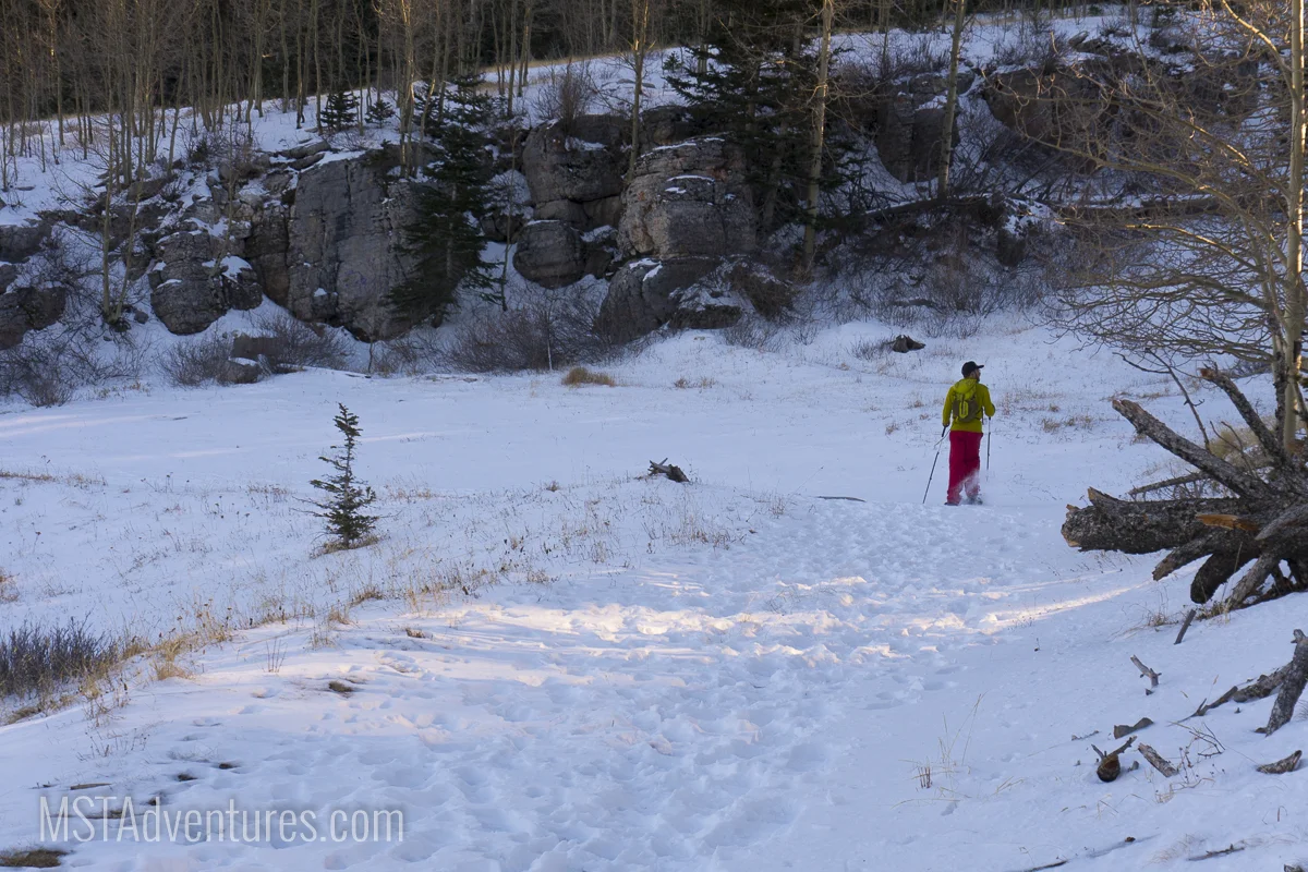 The last stretch of the Ellis Trail.