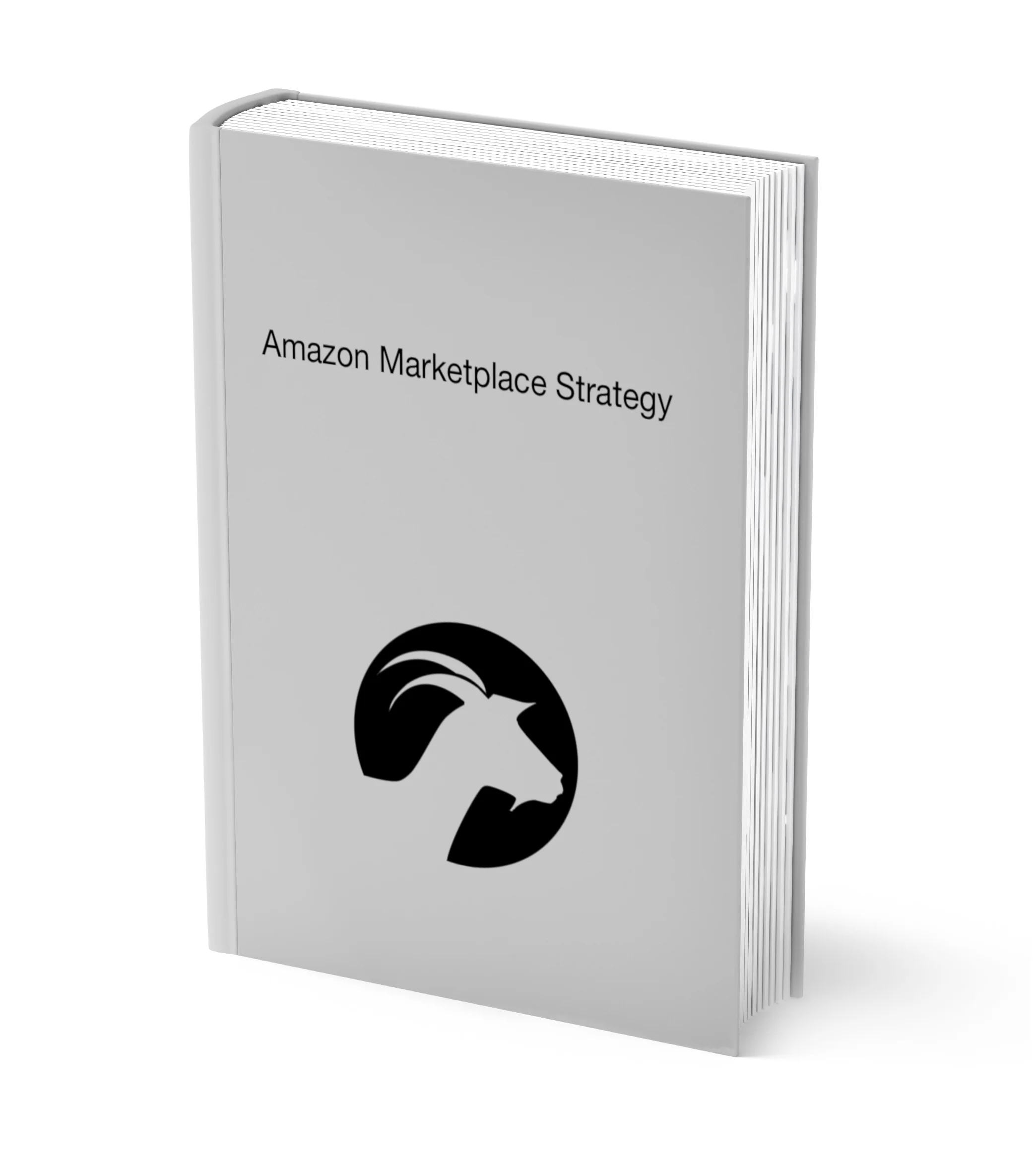 Amazon Marketplace Strategy Book Cover.jpg