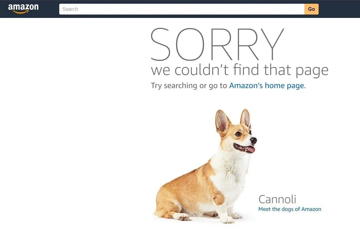 Amazon Page Not Found - How to Get My Product Listing Reinstated on Amazon