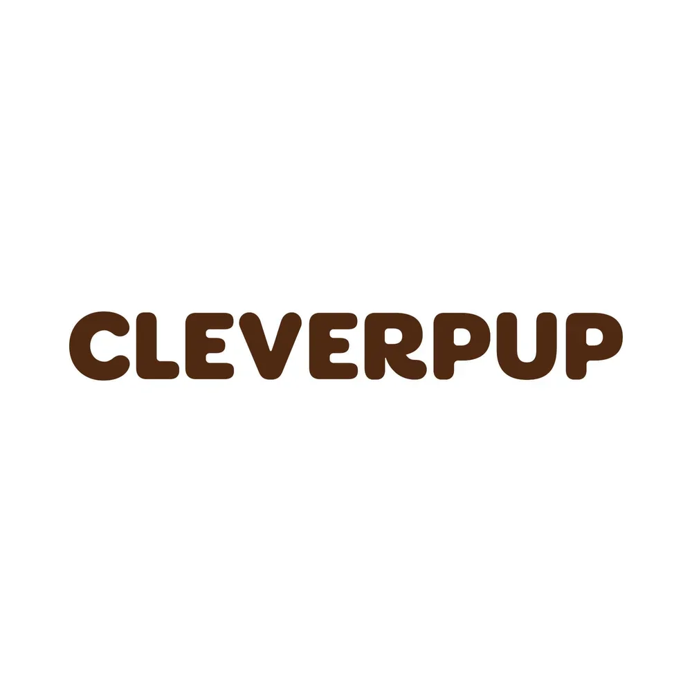 Cleverpup Amazon Case Study: Launching a Design-Forward Pet Brand From Zero