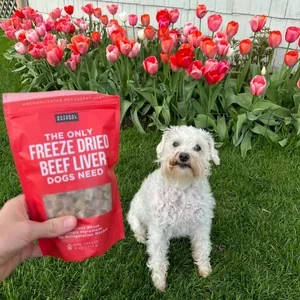 Amazon Goat Consulting Natural Rapport 1.webp