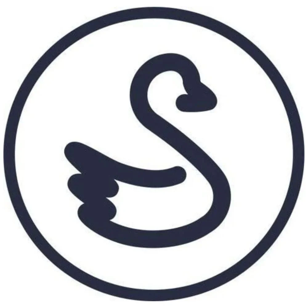 Swannies Amazon Case Study: Launching a Lifestyle Golf Apparel Brand to Amazon