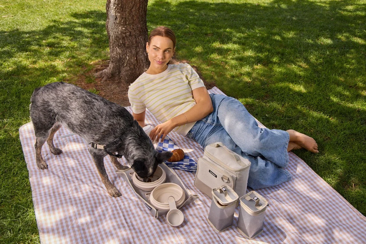 Cleverpup Amazon Case Study: Launching a Design-Forward Pet Brand From Zero