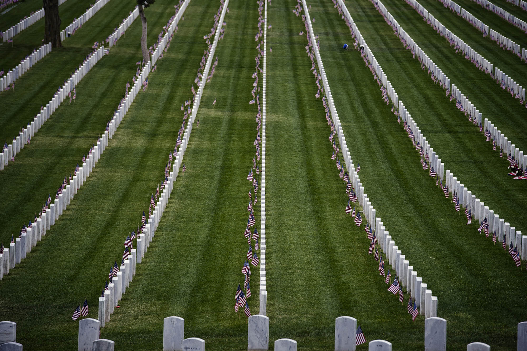 FRAME&STYLE-MEMORIAL DAY0021.jpg