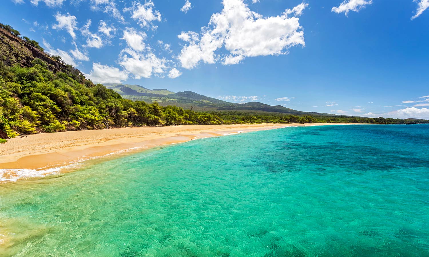   Maui Oceanfront Real Estate  