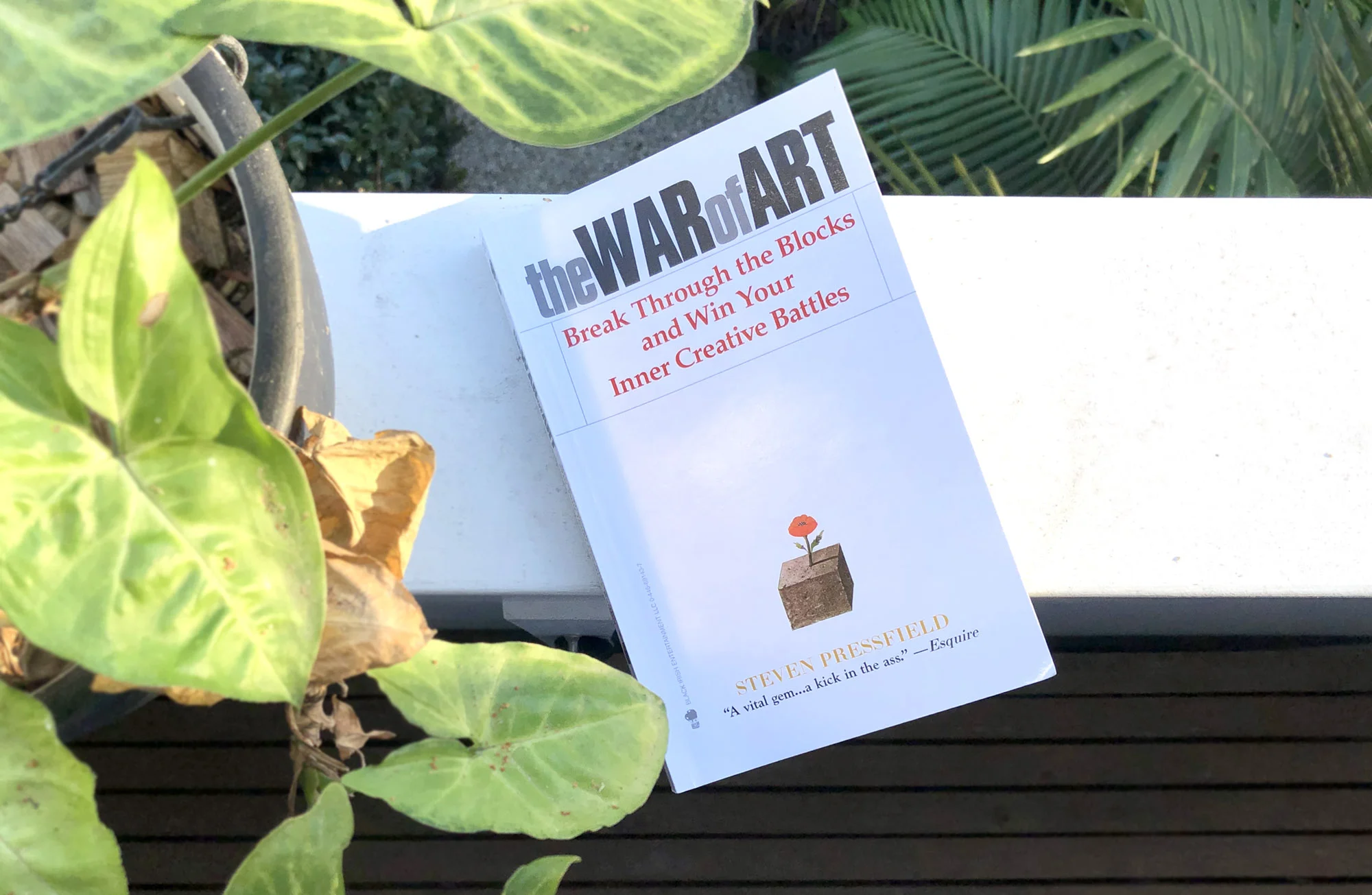 pete-adams-design-war-of-art-steven-pressfield-book-review-lessons.jpg
