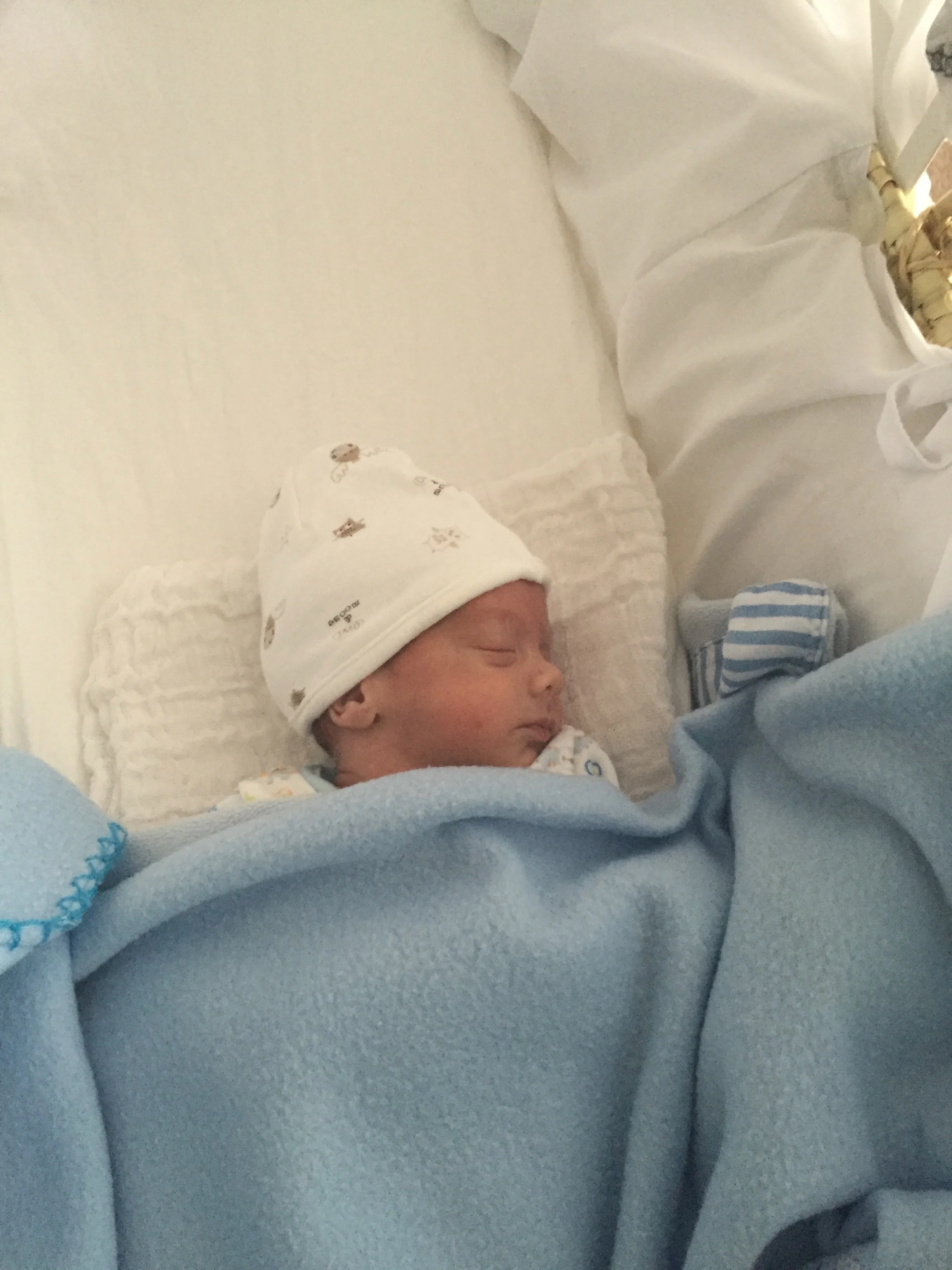 Sam in his moses basket at home