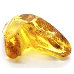 True Fossilized Amber Resin